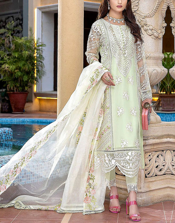 Heavy Embroidered Organza Party Wear Dress